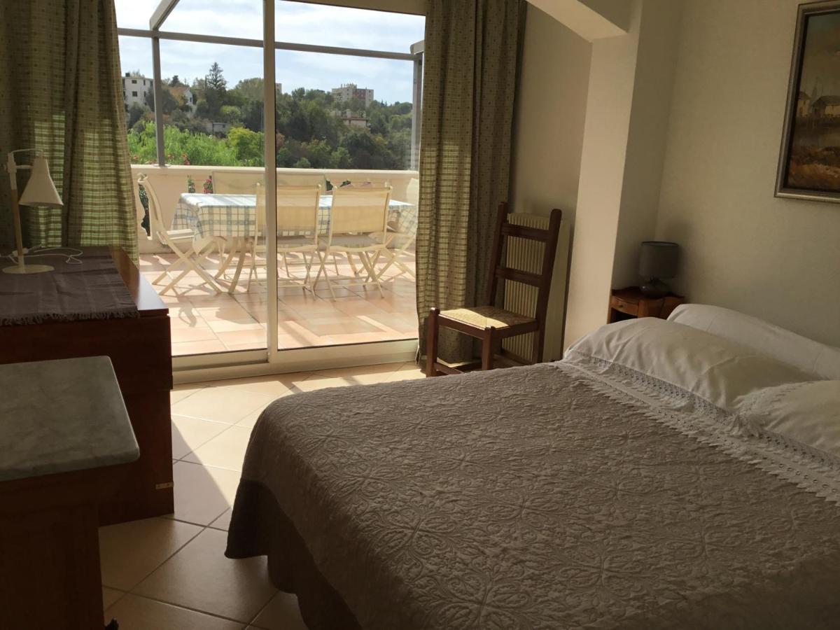 Villa Paradiso, Logement Avec Piscine, Nice Nord Екстер'єр фото